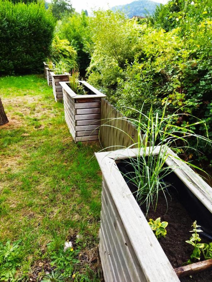 Haus Elsenbruch Apartment Bad Herrenalb Bagian luar foto